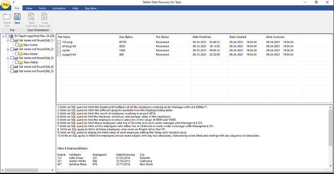 Select a file to preview it